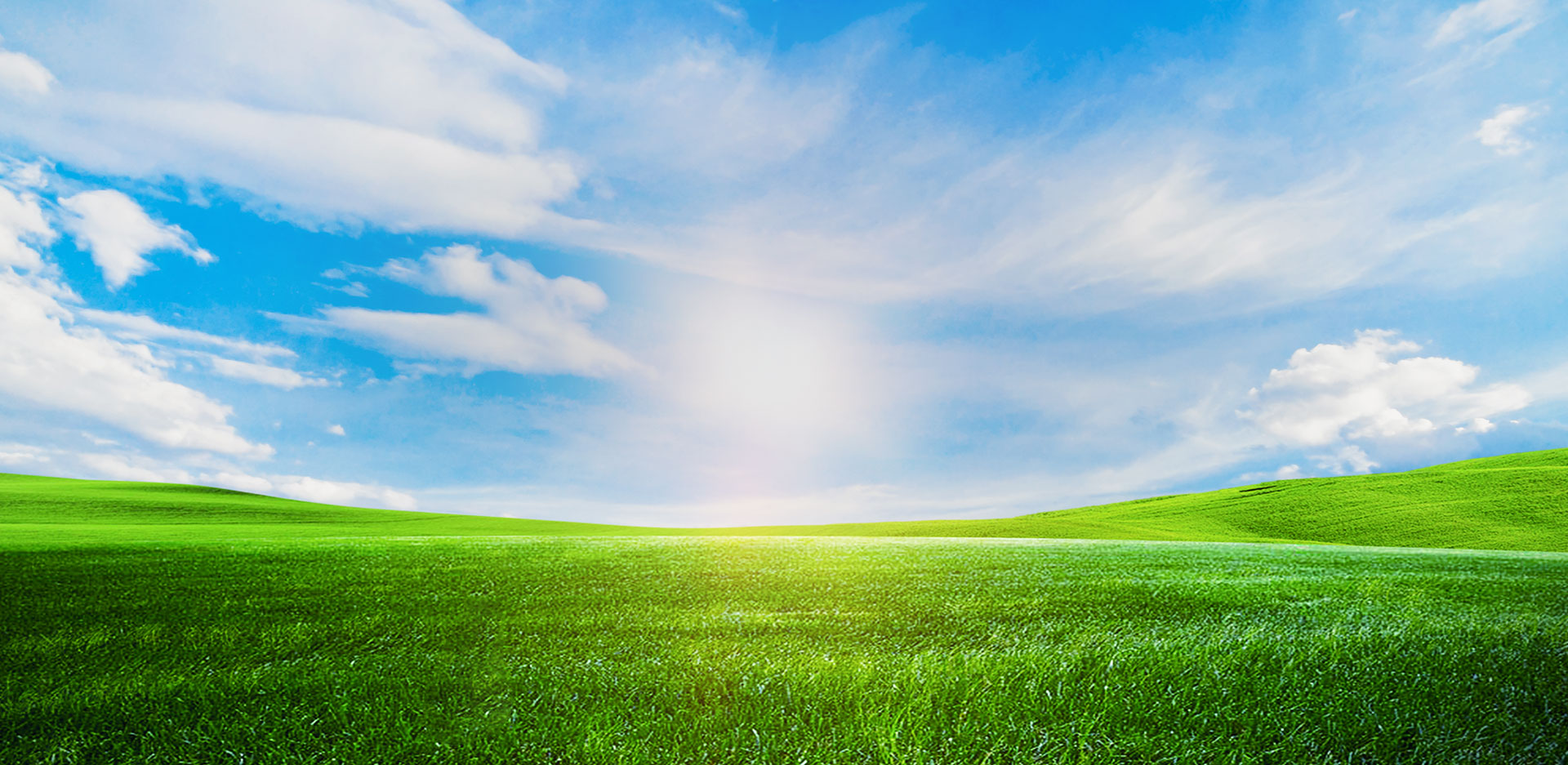 贝特佳，为什么选择它？