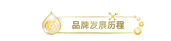 品牌发展历程
