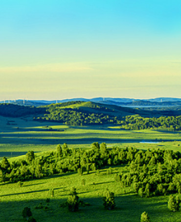 纯净品质 挑剔之选