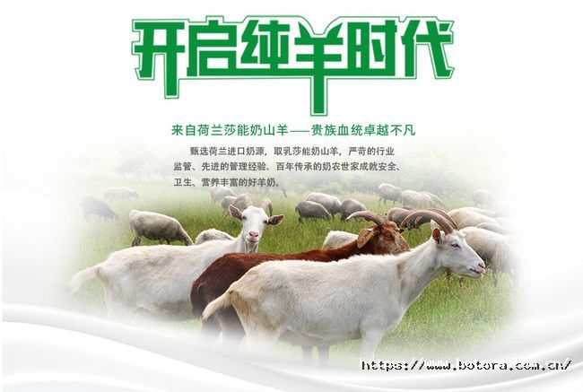 图片5.jpg
